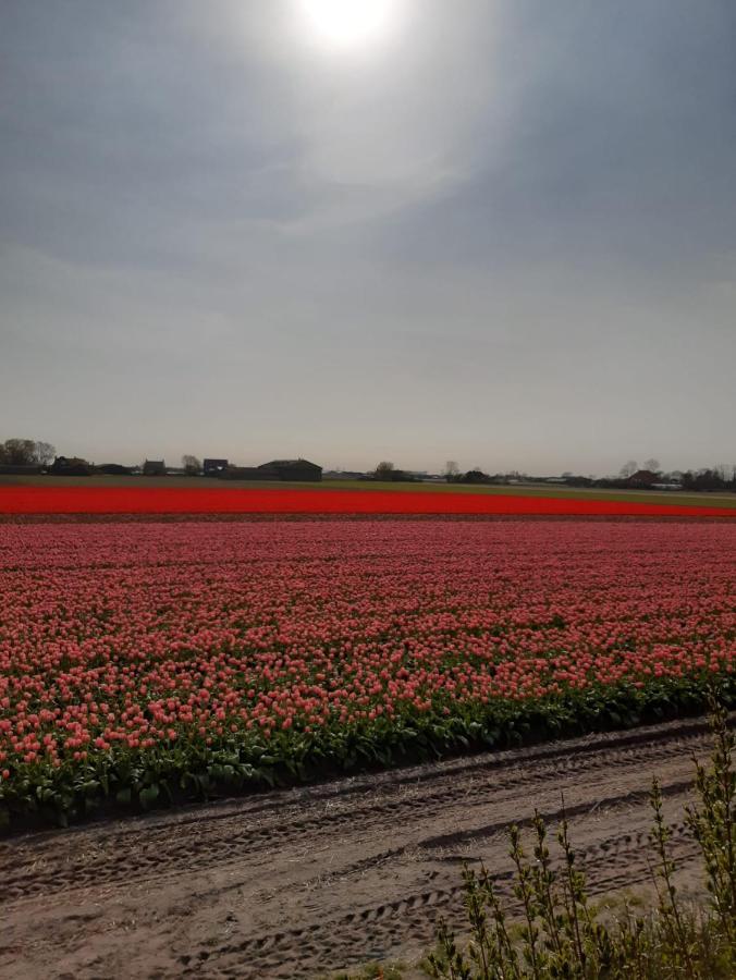 BreezandGroot Familiehuis Voor 6 Personen In Landelijke, Rustige Omgeving别墅 外观 照片