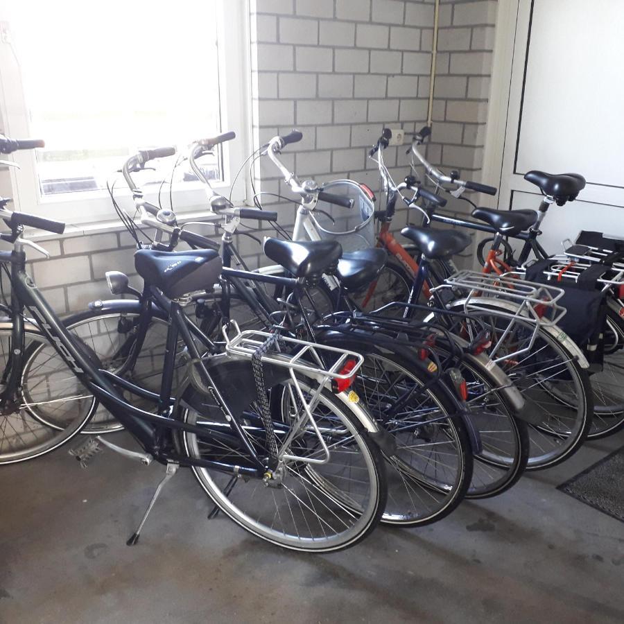 BreezandGroot Familiehuis Voor 6 Personen In Landelijke, Rustige Omgeving别墅 外观 照片